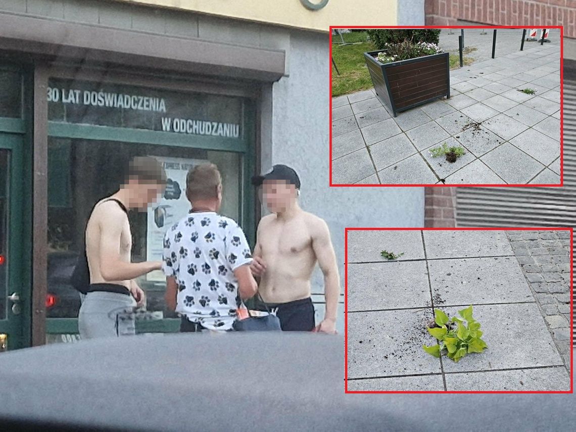 [FOTO] Wyrywał kwiaty, terroryzował ludzi i wchodził pod samochody! Mężczyzny nie udało się zatrzymać