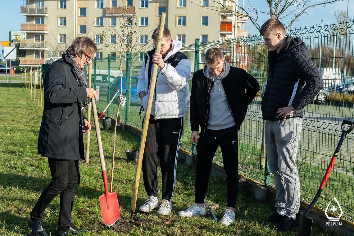 Z koszykarzami Decki Pelplin zasadzono 12 głogów w Pelplinie