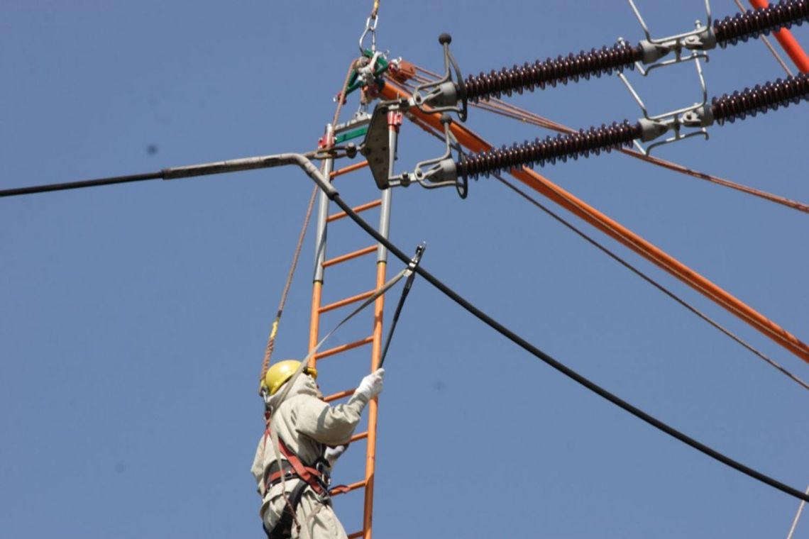 Zasilanie wróciło do tysięcy gospodarstw. Powodem awarii było powalone drzewo Zasilanie wróciło do tysięcy gospodarstw. Powodem awarii było powalone drzewo