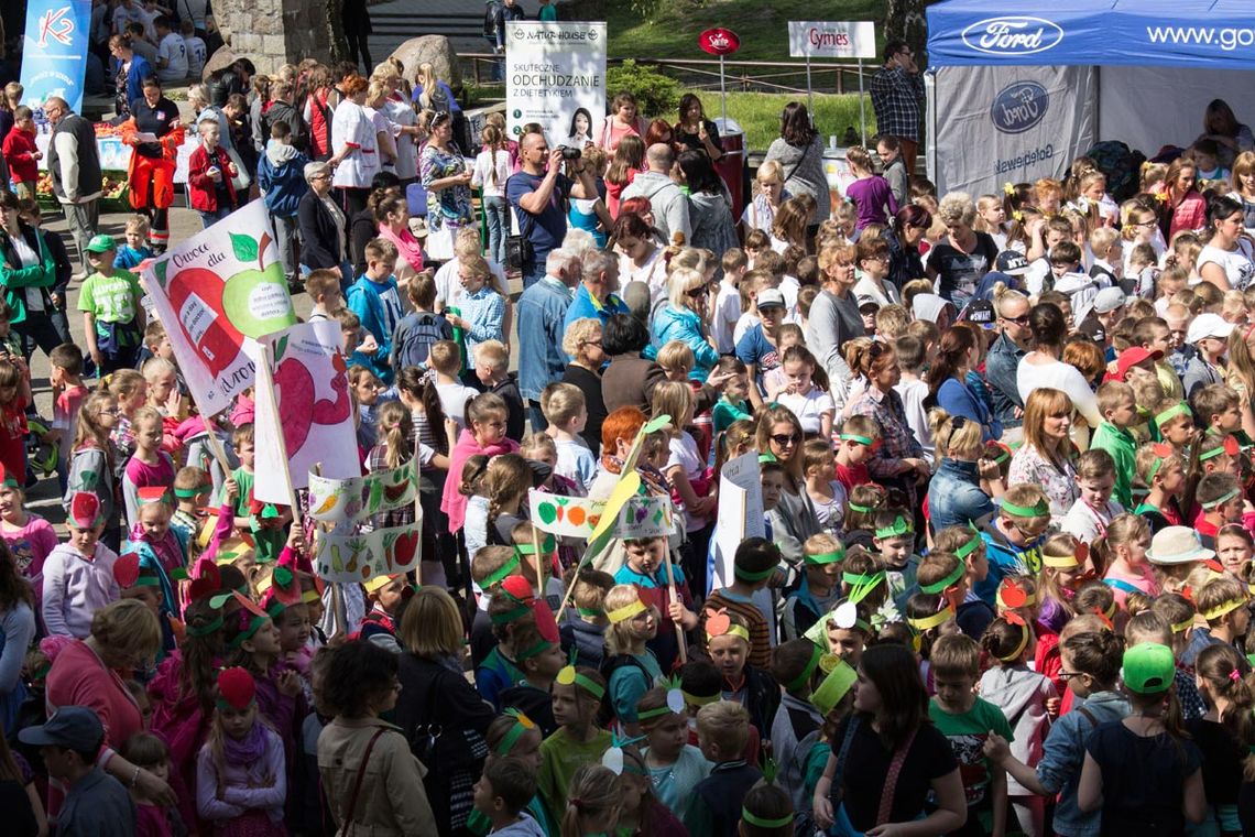 ZDJĘCIA: „Festyn Zdrowia” w PSP nr 4 ZDJĘCIA: „Festyn Zdrowia” w PSP nr 4