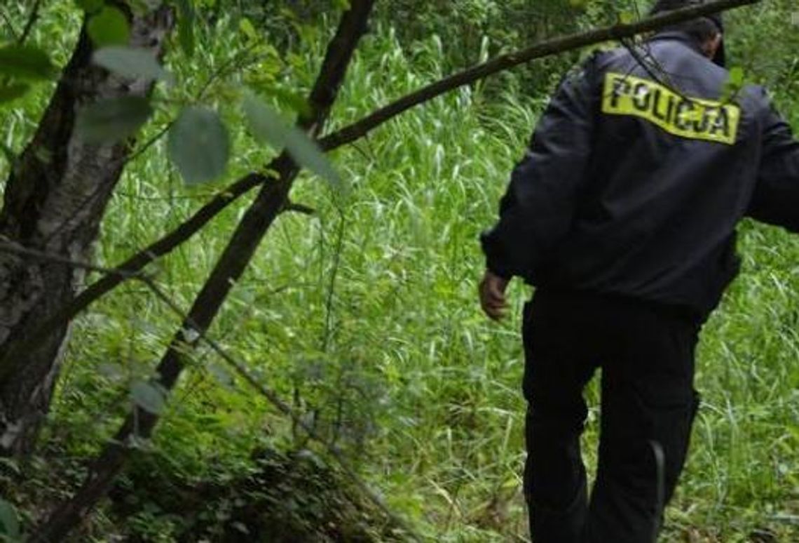 Znaleziono zwłoki mężczyzny. Ciało było pogryzione przez zwierzęta? 