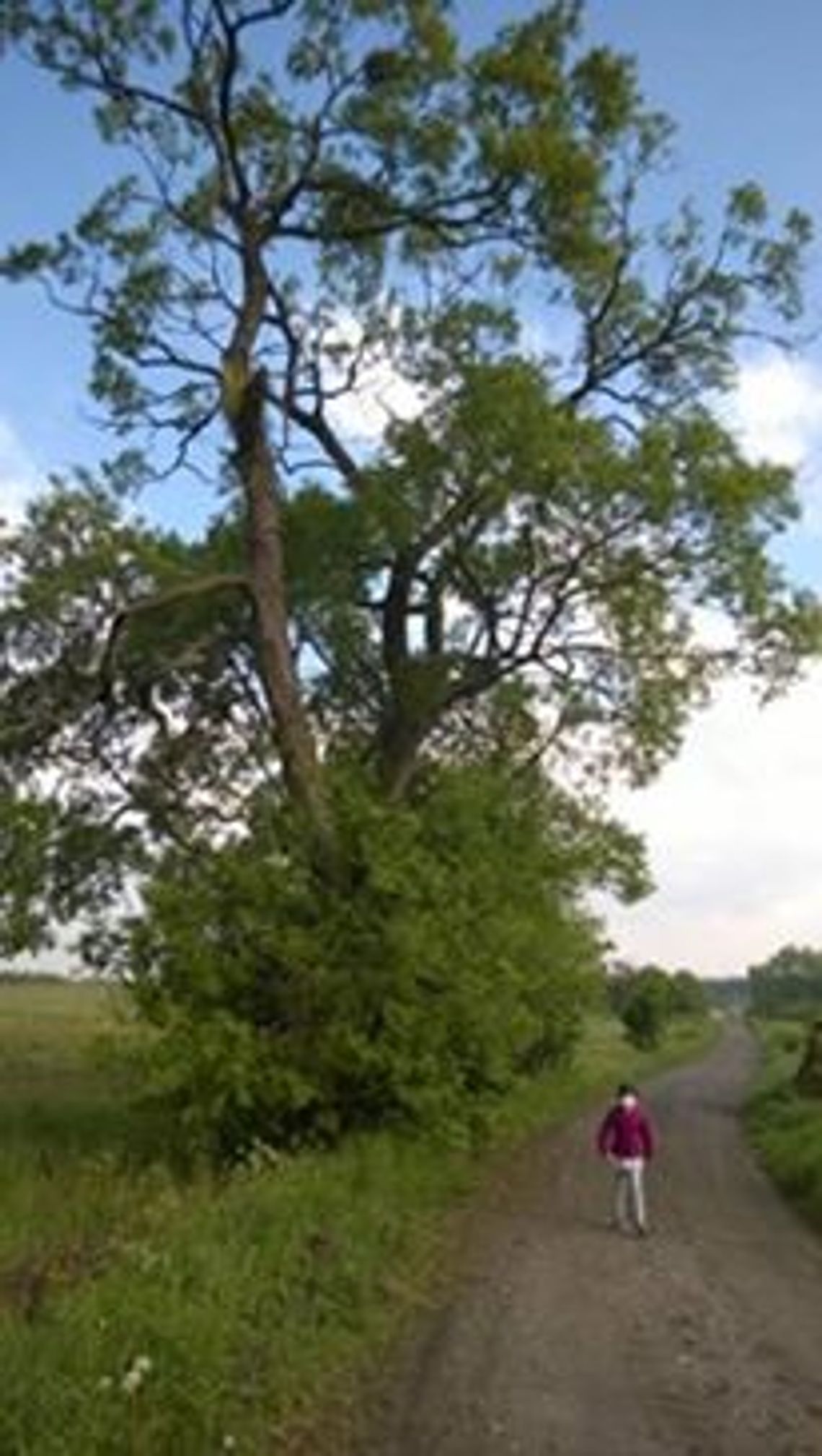 „Zróbcie coś, zanim dojdzie do nieszczęścia!” „Zróbcie coś, zanim dojdzie do nieszczęścia!”