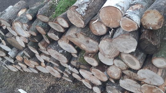 Sprzedam drewno opałowe twarde mieszane!!! (DĄB, BRZOZA,GRAB,BUK)