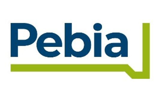 Pebia - kostka brukowa i prefabrykaty betonowe