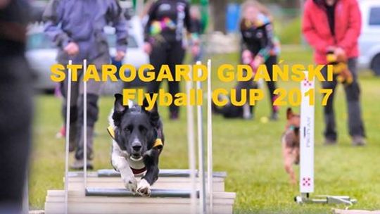 Flyball CUP 2017 w Starogardzie Gdańskim!