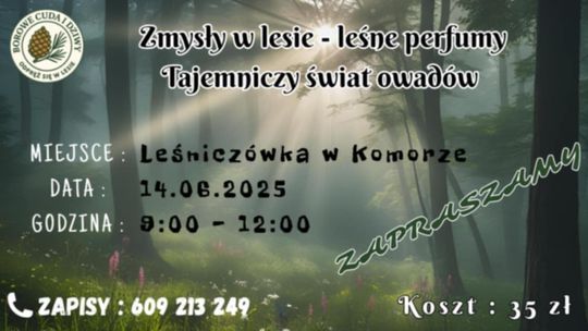 Jakie tajemnice skrywa las? – warsztaty dla dzieci w Komorze Jakie tajemnice skrywa las? – warsztaty dla dzieci w Komorze