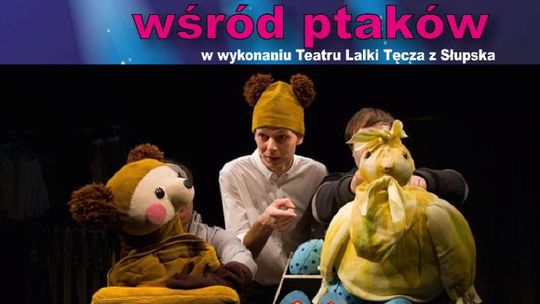 Teatr Młodego Widza - Tymoteusz wśród ptaków.