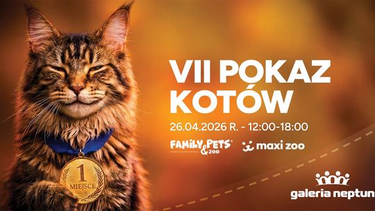 VII Pokaz Kotów już w niedzielę. Mieszkańcy wybiorą swoich faworytów
