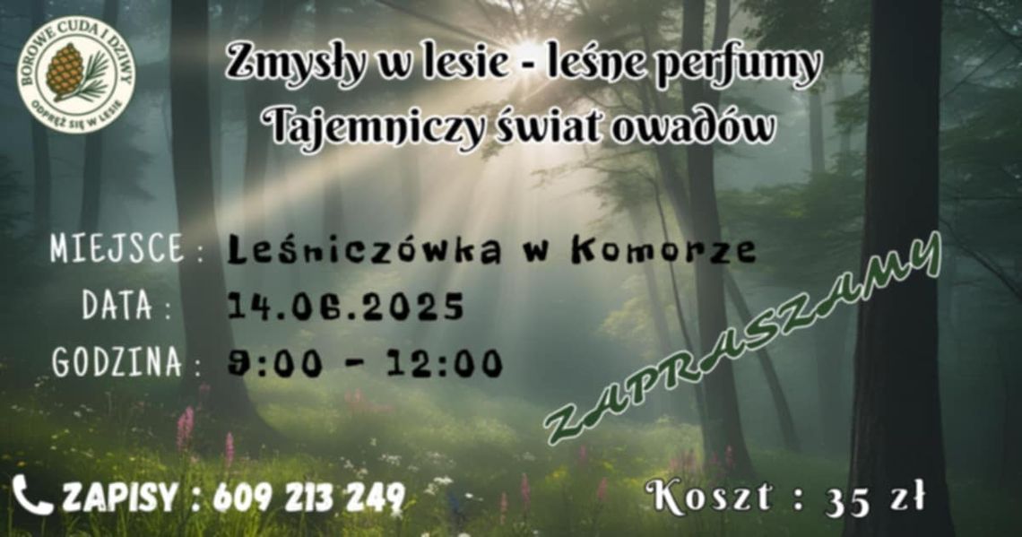 Jakie tajemnice skrywa las? – warsztaty dla dzieci w Komorze Jakie tajemnice skrywa las? – warsztaty dla dzieci w Komorze