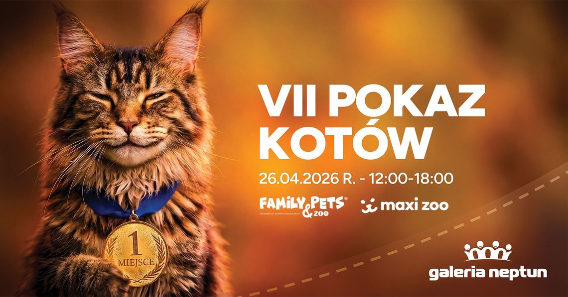 VII Pokaz Kotów już w niedzielę. Mieszkańcy wybiorą swoich faworytów