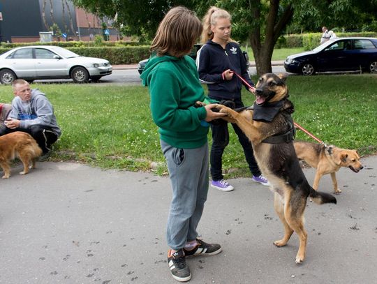 Kolejny udany Spacer Przyjaźni za nami! 